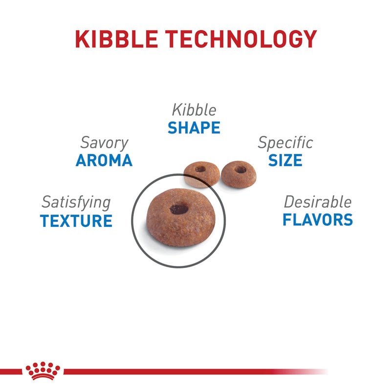 Royal Canin Feline Care Nutrition Weight Care Adult Dry Cat Food, 6 lb Bag - Image 3